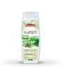 iShopping - Saeed Ghani Tea Tree & Aloe Vera Shampoo 200Ml