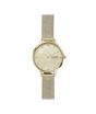 iShopping - Skagen Anita Mother-of-Pearl Women's Watch Gold (SKW2774)