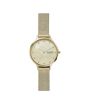iShopping - Skagen Anita Mother-of-Pearl Women's Watch Gold (SKW2774)