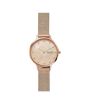 iShopping - Skagen Anita Mother-of-Pearl Women's Watch Rose Gold (SKW2773)