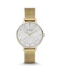 iShopping - Skagen Anita Stainless Steel Women's Watch Gold (SKW2150)