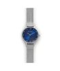 iShopping - Skagen Anita Stainless Steel Women's Watch Silver (SKW2307)