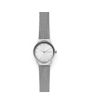 iShopping - Skagen Freja Two-Hand Women's Watch Silver (SKW2715)