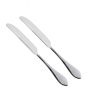 iShopping - Cambridge Stainless Steel Dinner Knife Pack Of 2 (DK0522)