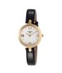 iShopping - Tissot Flamingo Women's Watch Black (T0032093611700)