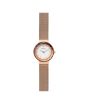 iShopping - Skagen Leonora Two-Hand Women's Watch Rose Gold (SKW2799)