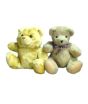 iShopping - ZT Fashions Stuffed Bear Set of 2 (0034)