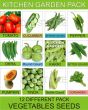 iShopping - DIY Store Vegetables Gardening Seeds Pack of 12